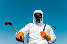 Trusted Berkley, MI Pest Control Experts